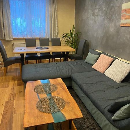 Apartman Orlicke Hory Orlicke Zahori Extérieur photo