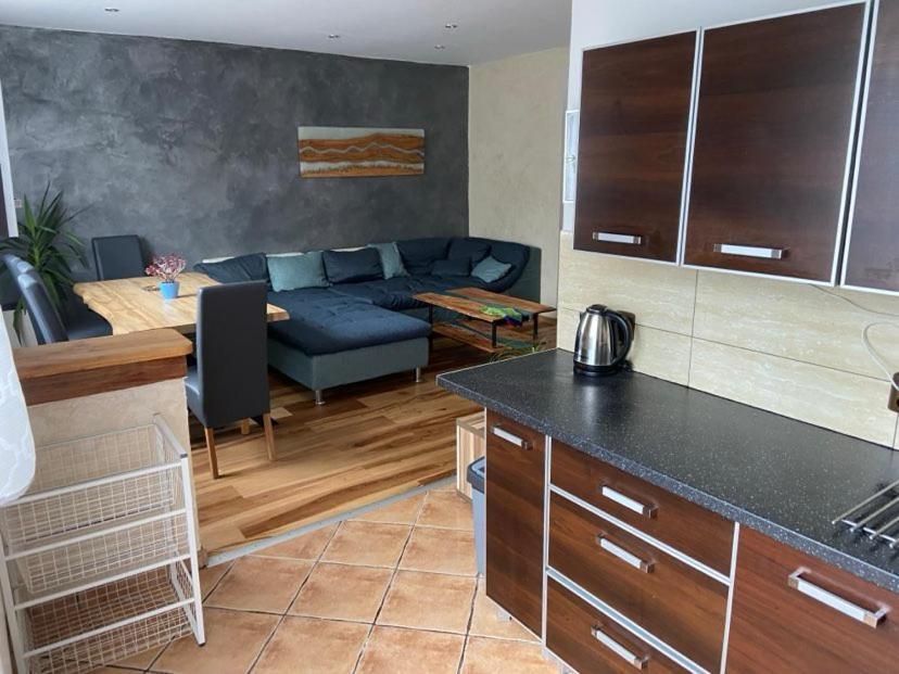 Apartman Orlicke Hory Orlicke Zahori Extérieur photo