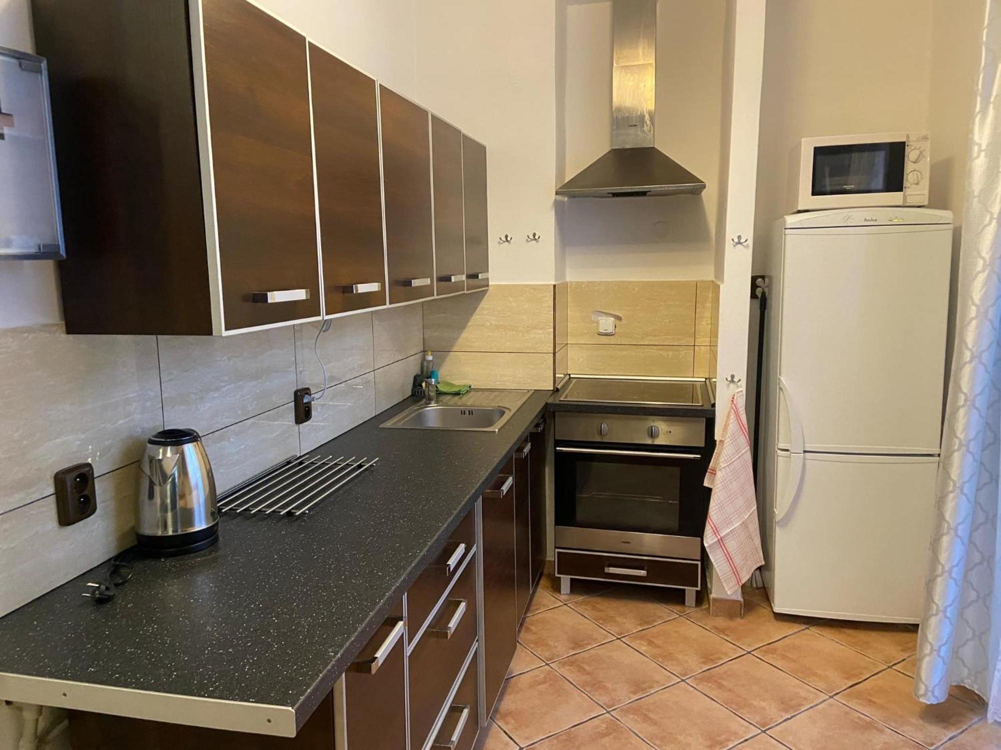 Apartman Orlicke Hory Orlicke Zahori Extérieur photo